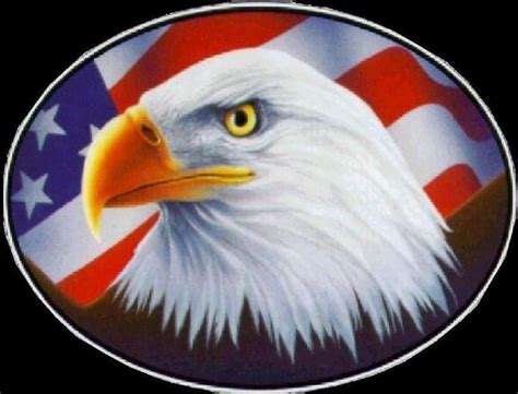 Patriotic Clip Art Eagle Flag 4 American Flag Clip Art Free
