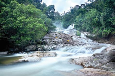 National, regional and world news. Malaysia showcases forest preservation | New Straits Times ...