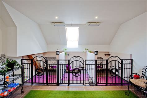 VIP Pets – the First Five Star Dog Hotel & Kindergarten | Prague Stay