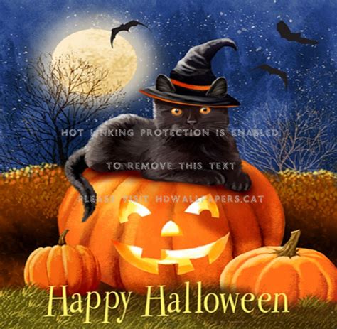 Happy Halloween Pumpkins Lovely Pretty Fall 1oyl