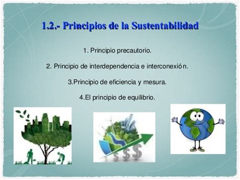 Desarrollo Sustentable 12 Principios De La Sustentabilidad Images