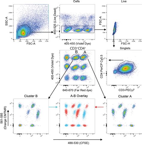 Gating Strategy For Live Fluorescence Barcoding Of T Cell Clones Shown