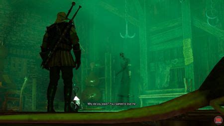 To use the lamp open the circular toolbar and select the magic lamp. A Towerful Of Mice | Witcher 3