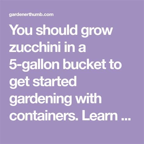 Why Grow Zucchini In A 5 Gallon Bucket Gallon Growing Zucchini 5