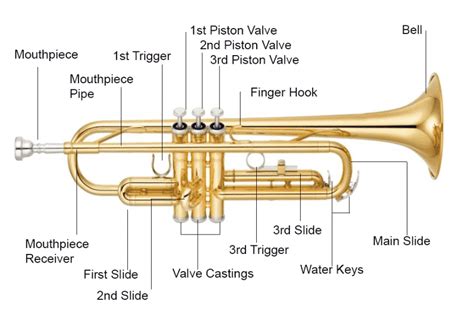 Trumpet Parts A Full Guide With Pics All U Need To Know