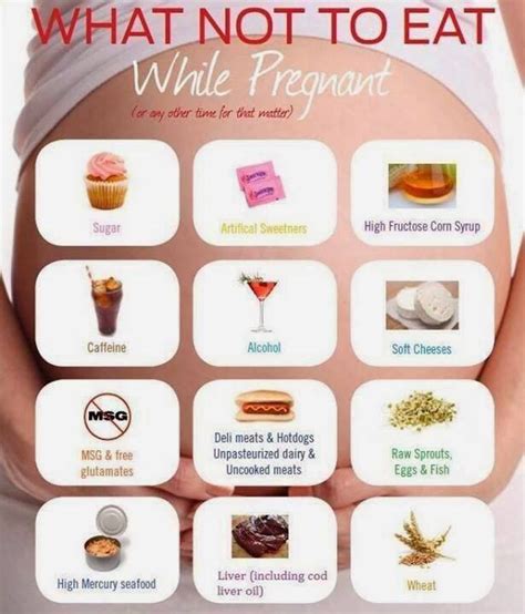 What Not To Eat While Pregnant Musely
