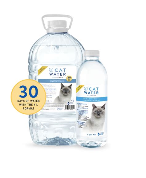 Cat Water Water For Cat