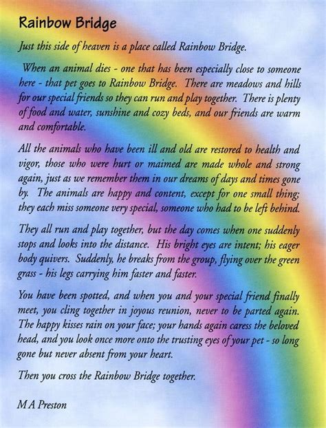 Free printable rainbow bridge poem for cats / rainbow bridge free printable poem {pet loss} | rainbow. CRR Rainbow Bridge | Rainbow bridge dog, Rainbow bridge ...