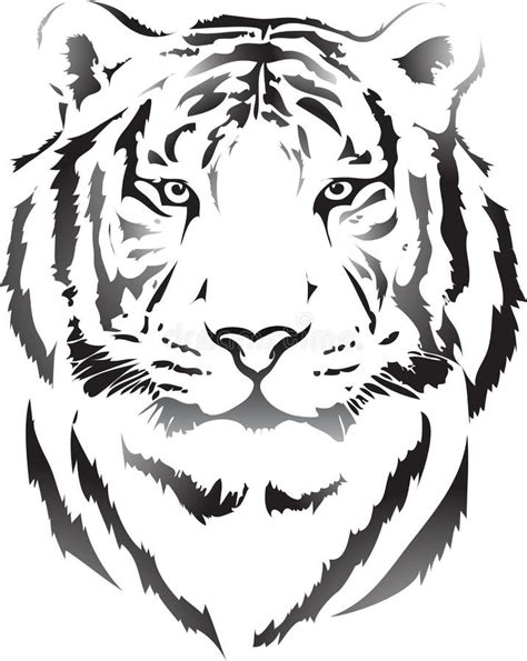 Tiger Head Silhouette Stock Vector Illustration Of Male