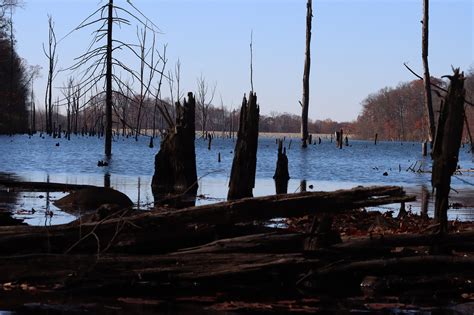 We did not find results for: Merrill Creek Reservoir Trip Report in North Western NJ ...