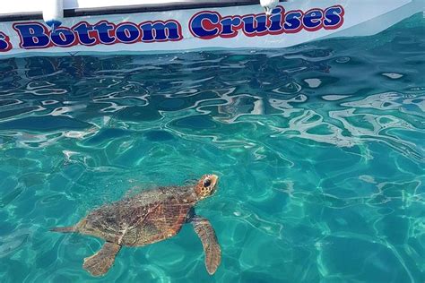 Cruise To Turtles Island And Caves With A Glass Bottom Boat