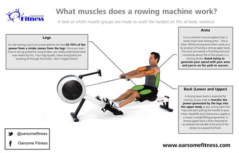 Muscles Used In Rowing Machine Machine Pwh
