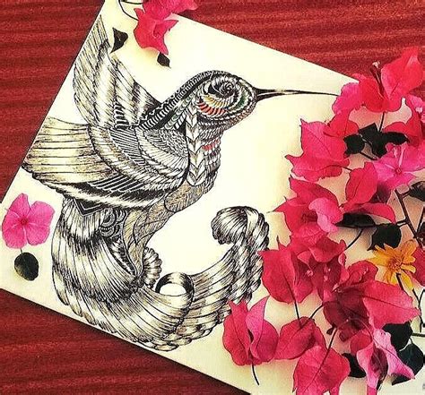 Hummingbird Mandala Drawing By Alaa Mustafa Fine Art America