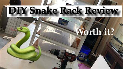 DIY Snake Rack Review YouTube