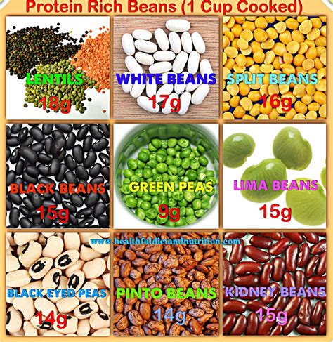 Protein Rich Beans Linaza Verduras Semillas