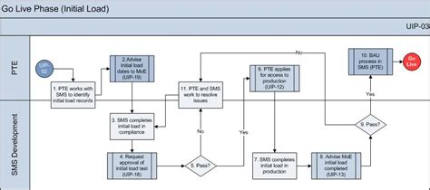 Go Live Phase Applications And Online Systems