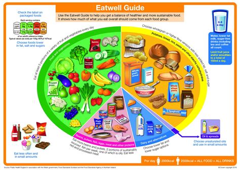 Eatwell Guide Alinea Nutrition