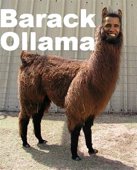 50 Top Barack Obama Memes