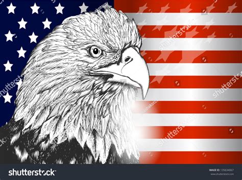 National Symbol Usa Flag Eagle Stock Vector Royalty Free 135634067
