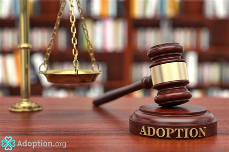 What Do Adoption Lawyers Do