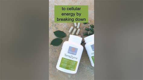 Terrazyme Enzyme Supplement Benefits And Uses Youtube
