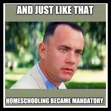 25 Funny Homeschool Memes 2020 Remote Learning Laughs Homeschool