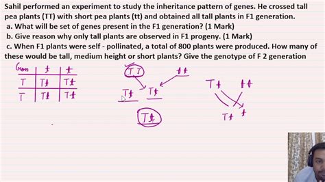 Sahil Performed An Experiment To Study The Inheritance Pattern Of Genes