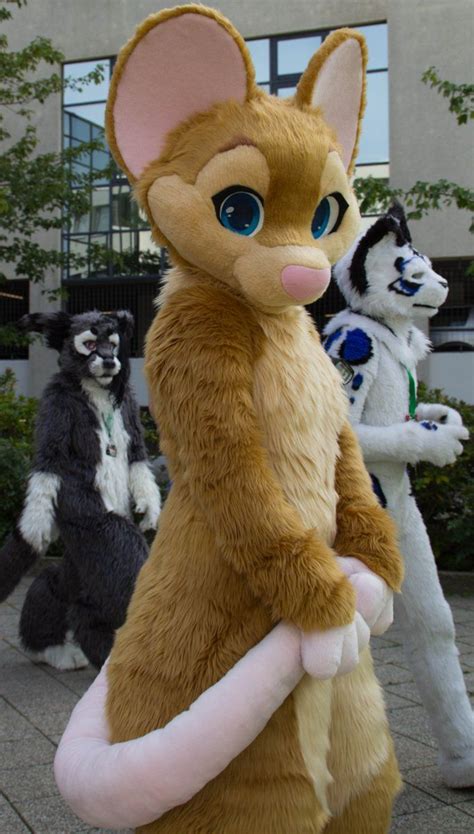 Yo This Is Like The Best Mouse Suit Ive Ever Seen Fursuit Furry