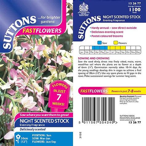 Night Scented Stock Seeds Evening Fragrance Suttons