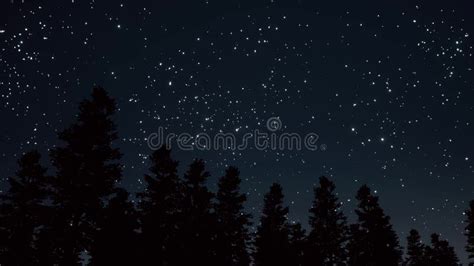 Night Starry Sky And Trees Silhouettes Panorama 3d Realistic Footage