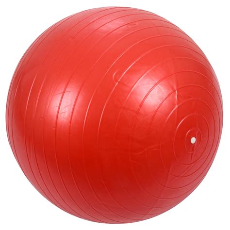 65 Cm Utility Yoga Ball Pilates Balance Sport Proof Antislip Voor