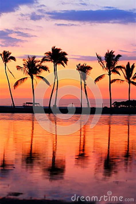 Paradise Beach Sunset With Tropical Palm Trees Stock Photo Image Of
