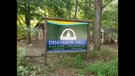 My roommate is moving out and looking for another roommate. Dinosaur Hill (Rochester, MI) - YouTube