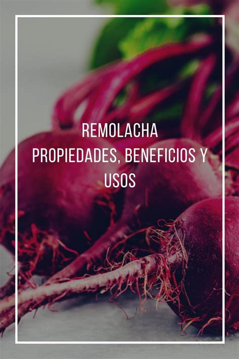 Remolacha Propiedades Beneficios Y Usos