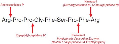 Pharmacotherapy Of Gastric Acidity Peptic Ulcers And Gastroesophageal