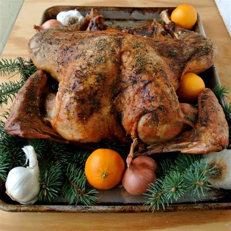 dry brined turkey turkey brine alton brown best turkey brine turkey brine recipes leftover