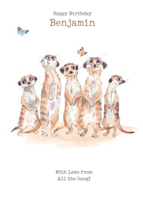 Meerkats Birthday Card Moonpig
