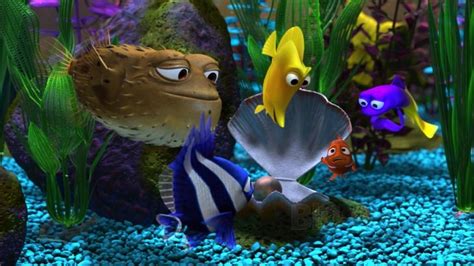 Finding Nemo Fish Tank Dory Finding Nemo Disney Finding Nemo Hd