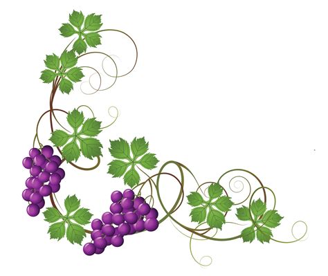 We did not find results for: Purple Flower Vine Clipart - ClipArt Best