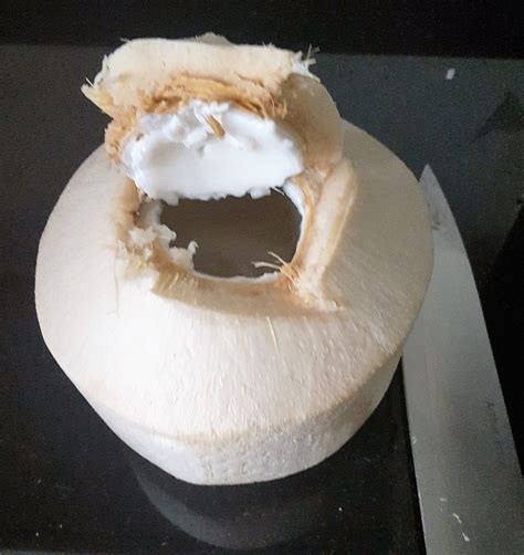 Buy Fresh Whole Thai Young Coconuts 12 Pack 100 Pure Raw Coconut