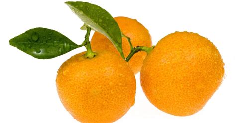 Citrus Picks For San Diego Climates The San Diego Union Tribune