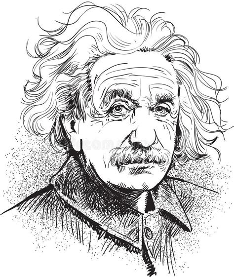 Albert Einstein Portrait Illustration Line Art Vector Albert Einstein