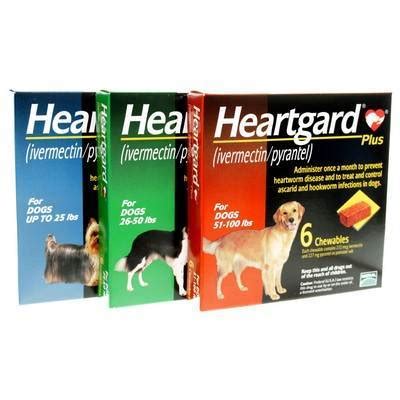 Heartworm disease in cats is very different from heartworm disease in dogs. Heartgard Plus - Dog Heartworm | VetRxDirect Pharmacy