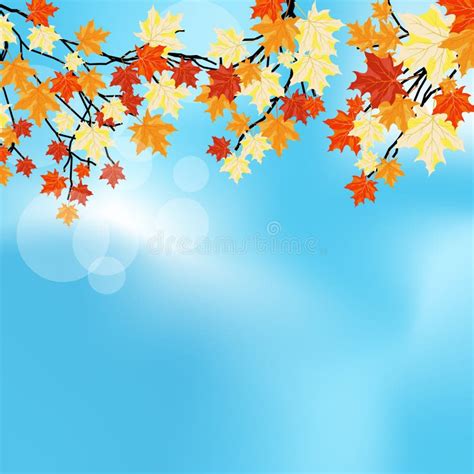Autumn Maples Stock Vector Illustration Of Bright Beauty 26157875