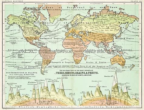 Agricultural Map Of The World 1861 Available As Framed Prints Photos