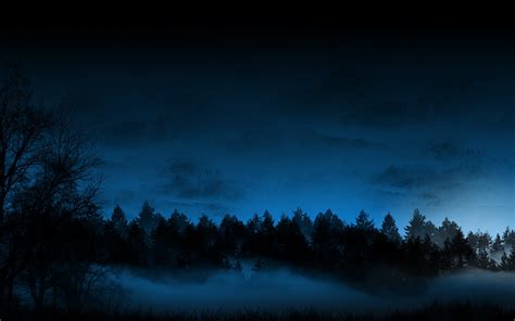 Free Download Trees Forest Night Fog Mist Blue Cg Sky Wallpaper