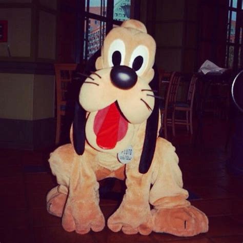 Pin By Meghan Dennehy On Pluto Pluto Disney Pluto The Dog