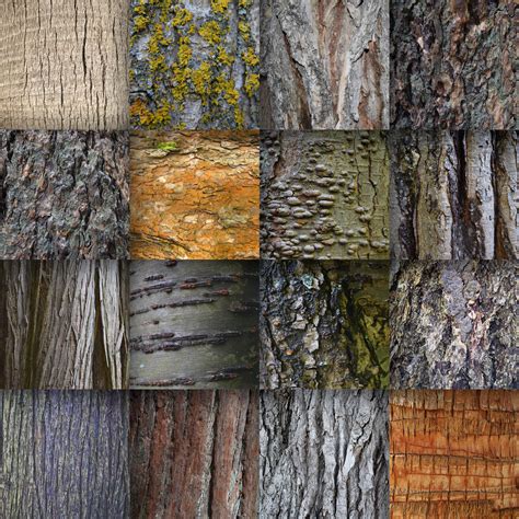 Tree Bark Textures Digital Paper Graphic By Oldmarketdesigns