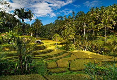Visitbali The Best Natural Panorama In Bali That Has Become A