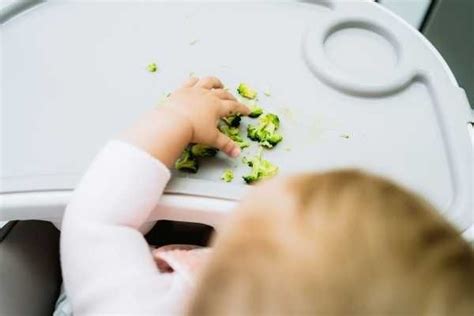 Wondering How To Start Baby Led Weaning Check Out This Beginners Guide